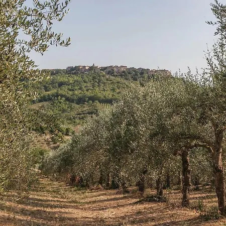 Holiday Allodola Tatil Evi Civitella Del Lago